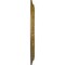 Ekena Millwork Caputo Ceiling Medallion (Fits Canopies up to 6"), Hand-Painted Gold, 24 1/4"OD x 1 1/2"P CM24CAGLS - alternate 2